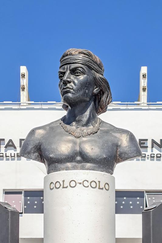 Colo colo