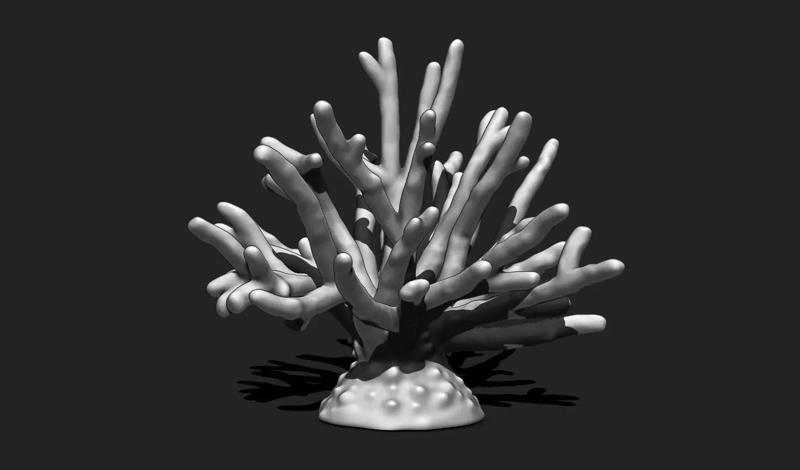 Coral 11 for 3D Printing - STL 3D Print - Aquarium - Home Decor