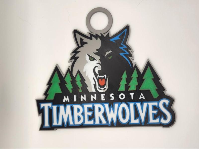 Minnesota Timberwolves 2009