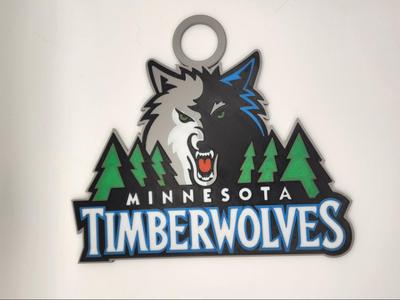 Minnesota Timberwolves 2009