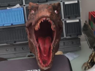 raptor