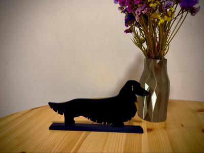 Longhaired dachshund