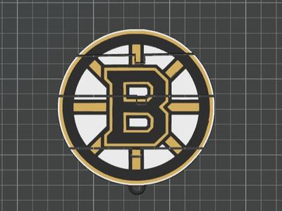 Boston Bruins flexi ornament