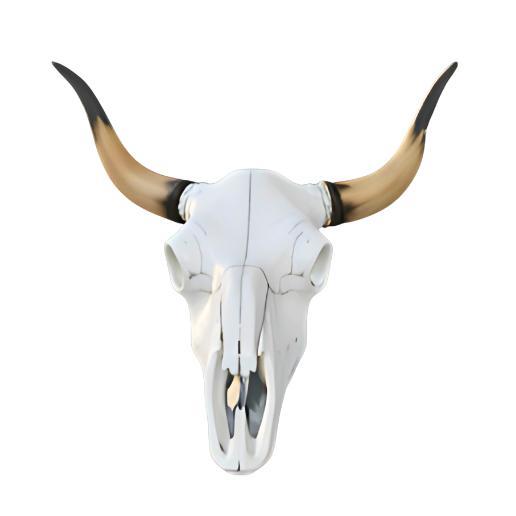 Bull Skull with Black-Tipped Horns