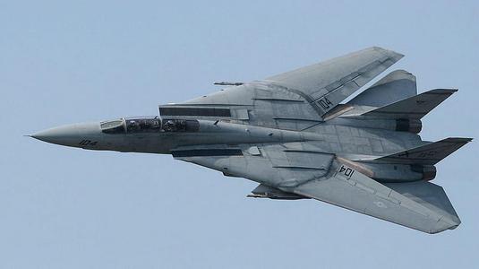 Grumman F-14 Tomcat
