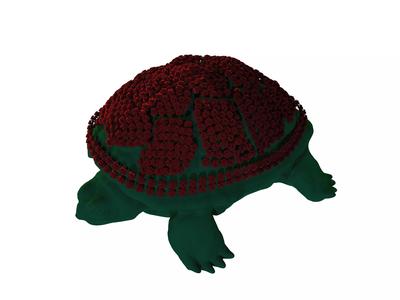turtle with flowers