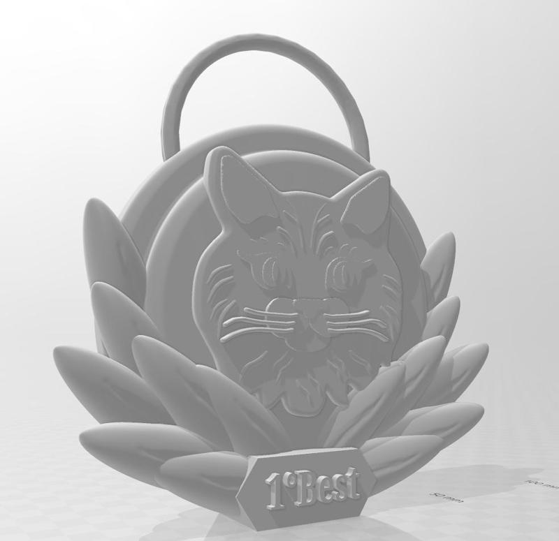 Medal or Wall Trophy for the Cutest Cat // Medal or Wall Trophy for the Cutest Cat