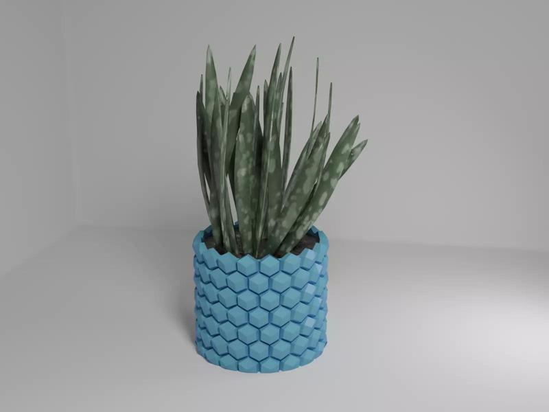 Hexagon flower pot