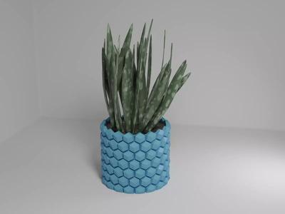 Hexagon flower pot