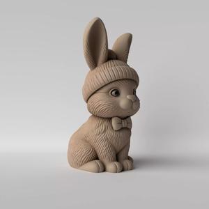 Fluffy Bunny with Beanie