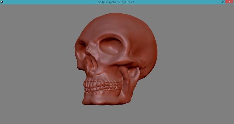 Skull sculpt