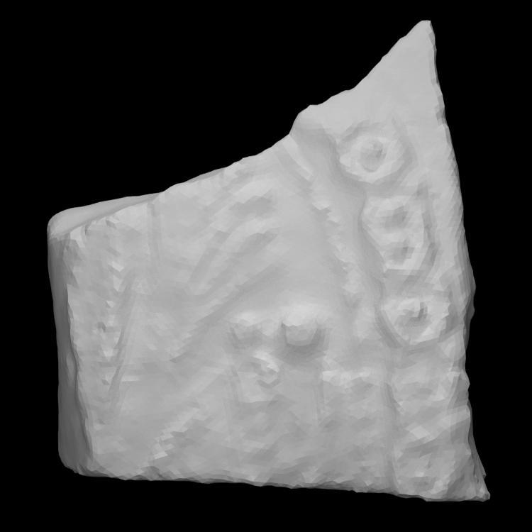 White salt-glazed stoneware sherd