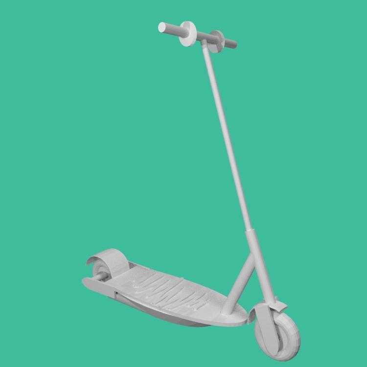 Skateboard- Amanda Arvizu