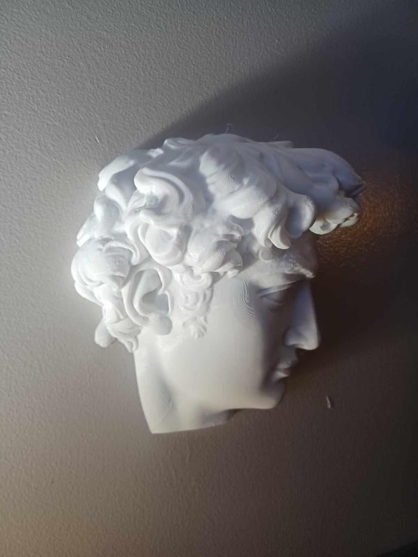 Michelangelo's David - Wall Mounts Designed in Back