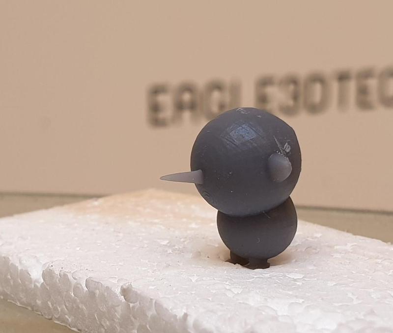 Copy of Dazzling Fyyran-Borwo