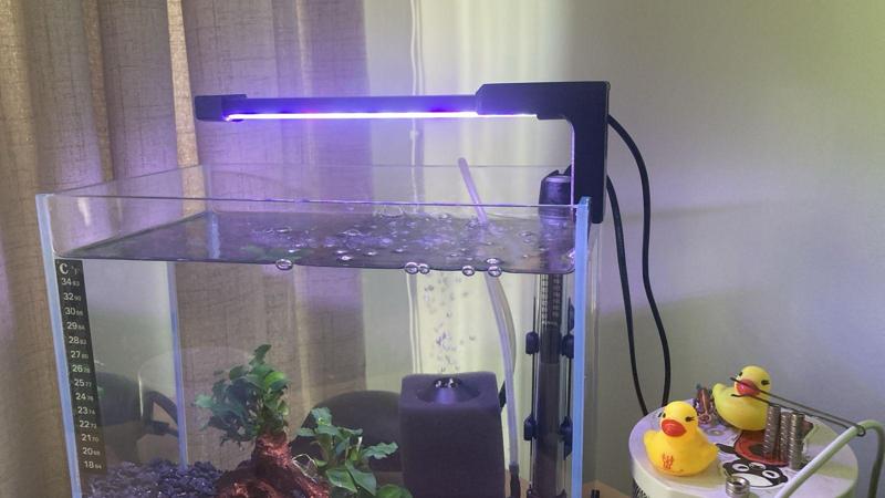 Hygger Submersable Light Mount