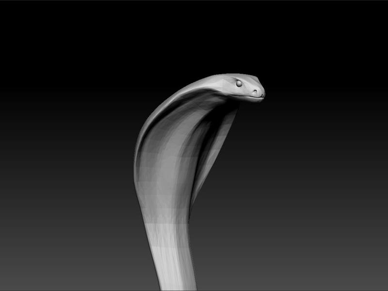 Cobra - Big snake