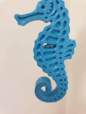 Seahorse Pull Cord