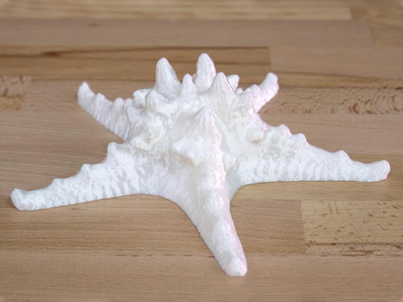 Starfish photogrammetry scan