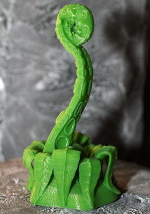 Tabletop plant: Fern Tentacle (11 Leaves)