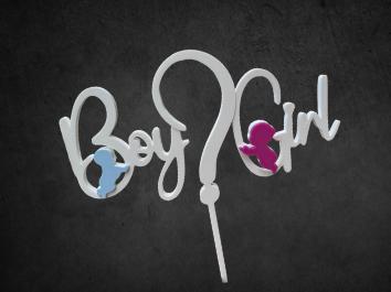 Baby Reveal Cake Topper