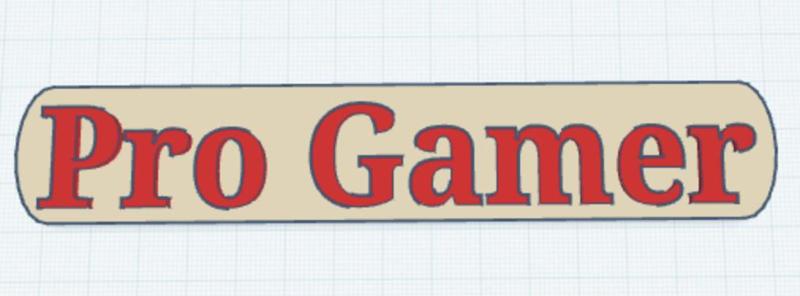 PRO GAMER Logo With Border
