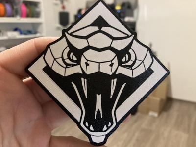 Witcher viper logo coaster