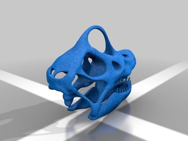 Brachiosaurus Skull