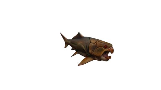 Figure dunkleosteus fisch