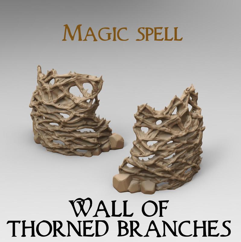 Magic Spell : Wall of Thorned branches