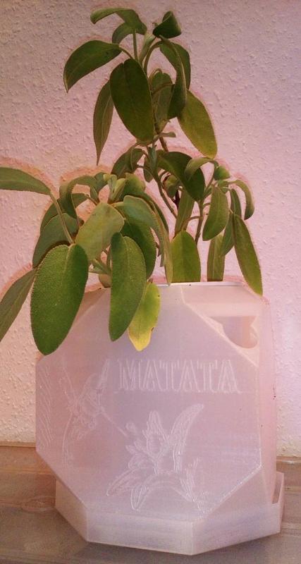 Selfwatering Pot (with drawing)