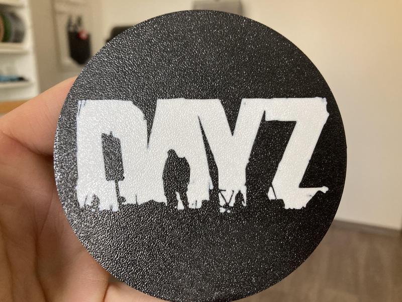 DayZ coaster