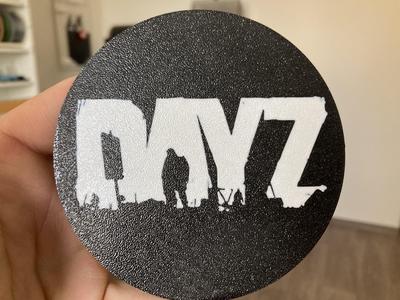 DayZ coaster