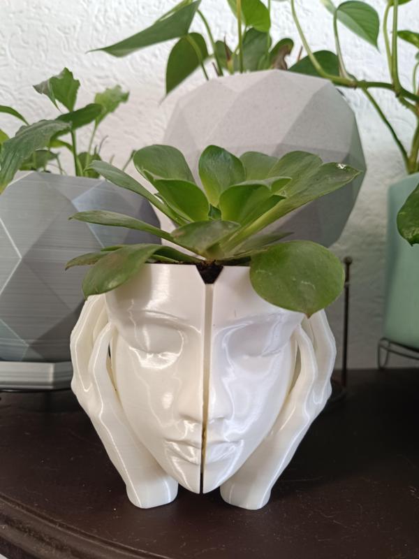 Growing Thoughts - pot