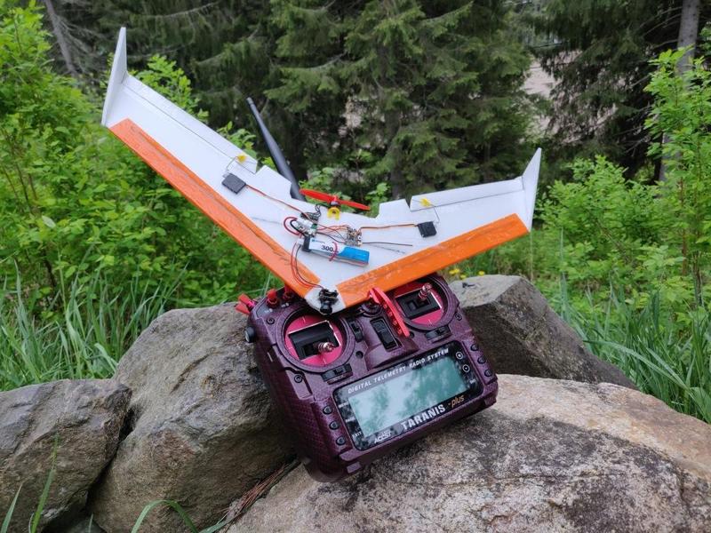 DiA Tiny Whing 40 1S wing