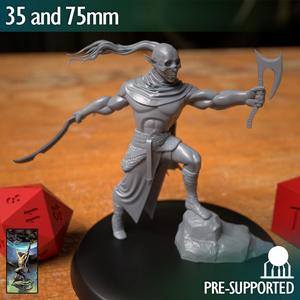 Drow Elf Fighter Assassin