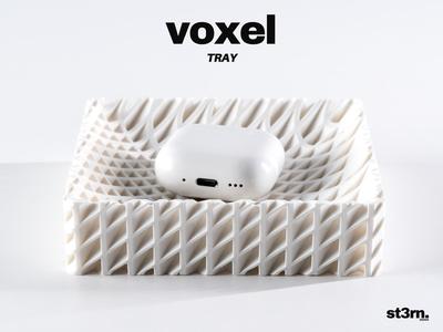 voxel ⬝ TRAY