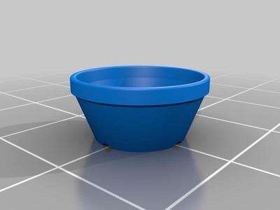 bonsai training pot