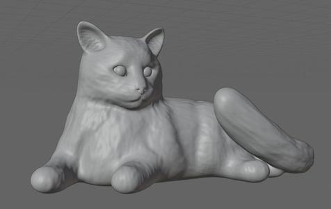 cat lounging