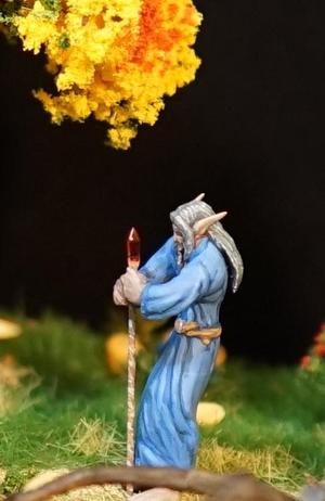Elf Male