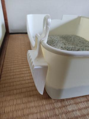 Cat litter scoop