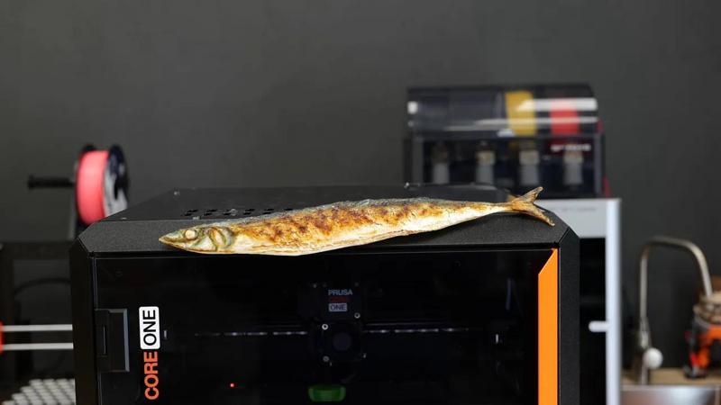 CORE One Fish (With Color Texture)   