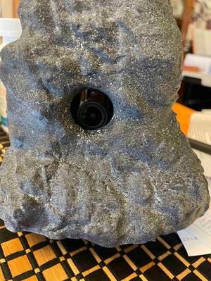 Ring Camera Disguise Rock 3 Top