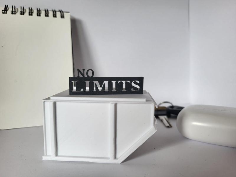 No Limits – Motivational 3D Sign & Keychain