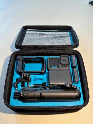 GoPro Hero 13 Creator Edition Case Organizer   