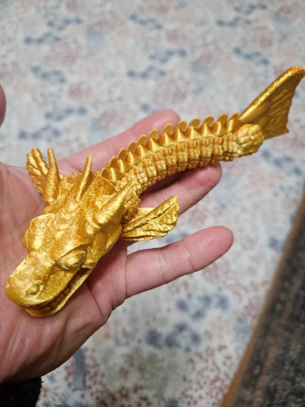 Dragon Fish   