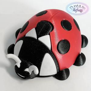 Ladybug Box
