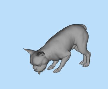 35 French Bulldog Drinking Water Pet Miniature Scene Model