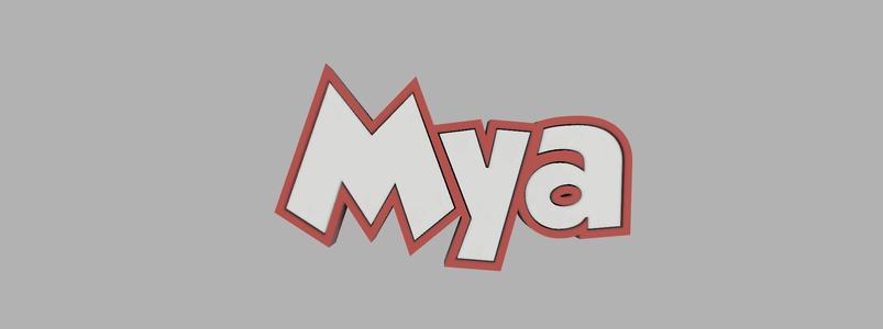 two-tone key ring - Mya
