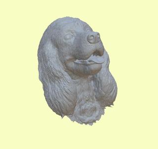 Cocker Spaniel - Cocker Spaniel
